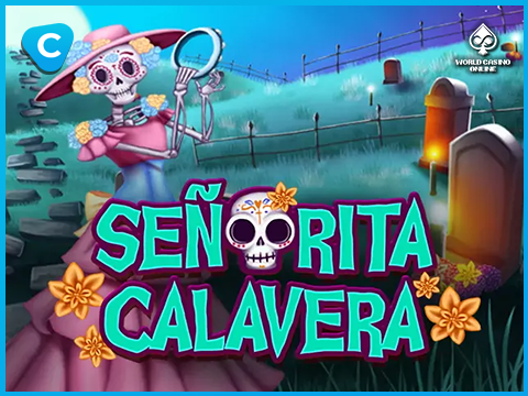 Casino Image